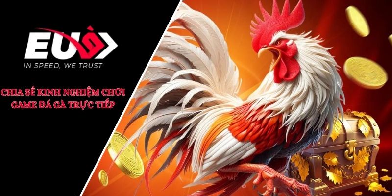 đá gà trực tiếp campuchia